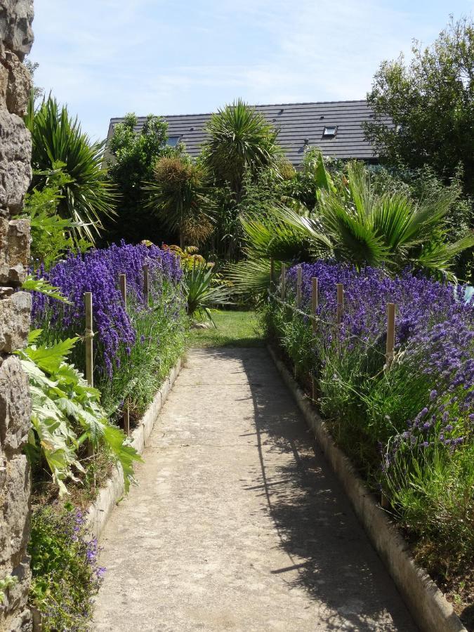 Gite "Rose Des Sables" - 800M De La Plage De Surtainville, Proche Commerces - Piscine En Juillet Et Aout ห้อง รูปภาพ