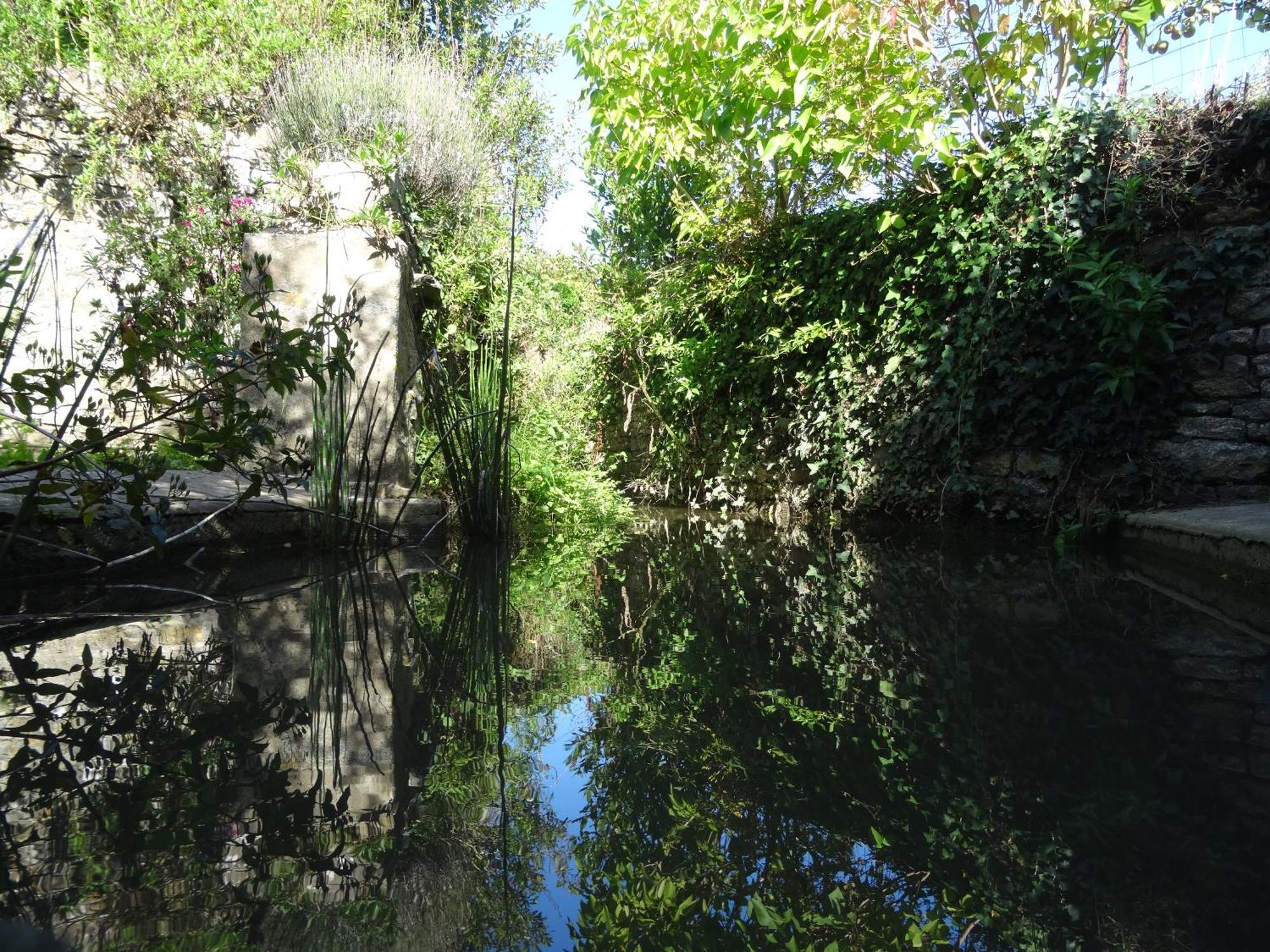 Gite "Rose Des Sables" - 800M De La Plage De Surtainville, Proche Commerces - Piscine En Juillet Et Aout ภายนอก รูปภาพ