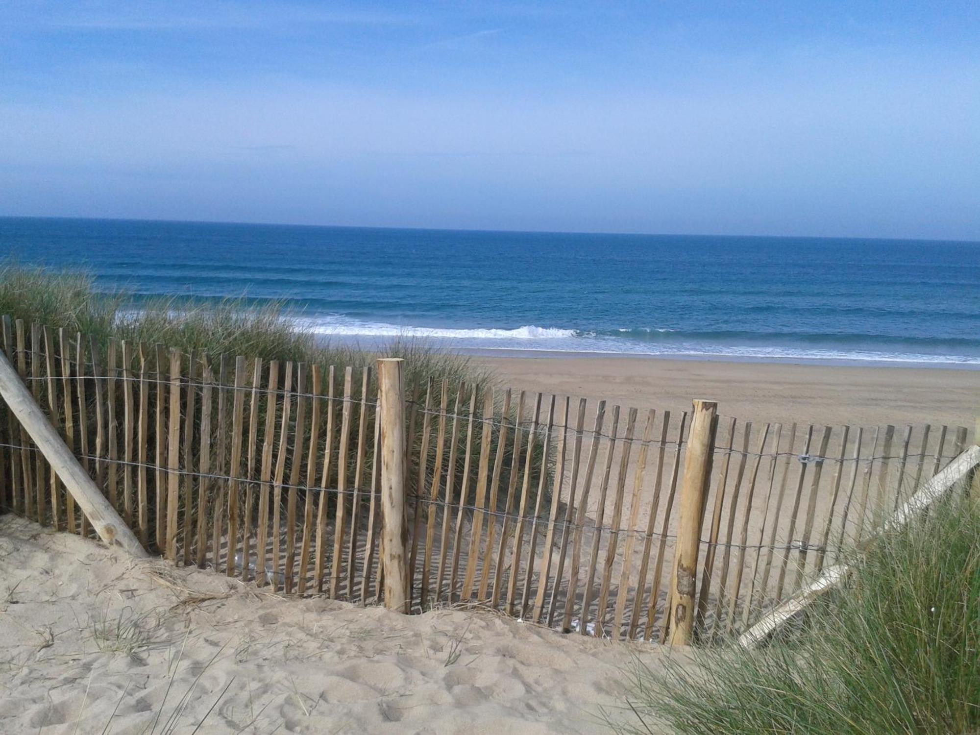 Gite "Rose Des Sables" - 800M De La Plage De Surtainville, Proche Commerces - Piscine En Juillet Et Aout ภายนอก รูปภาพ